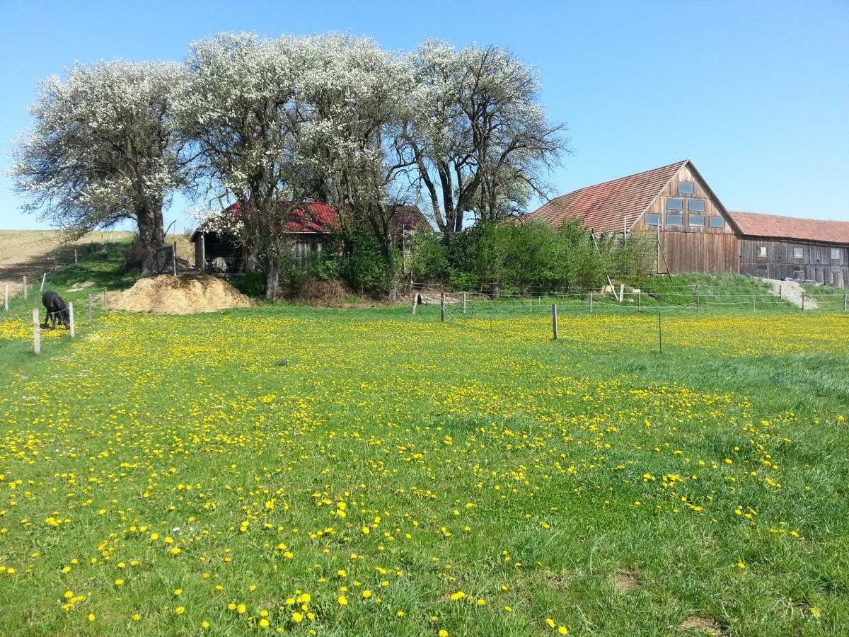 A-Sissy-Hof Villa Bischofstetten ภายนอก รูปภาพ