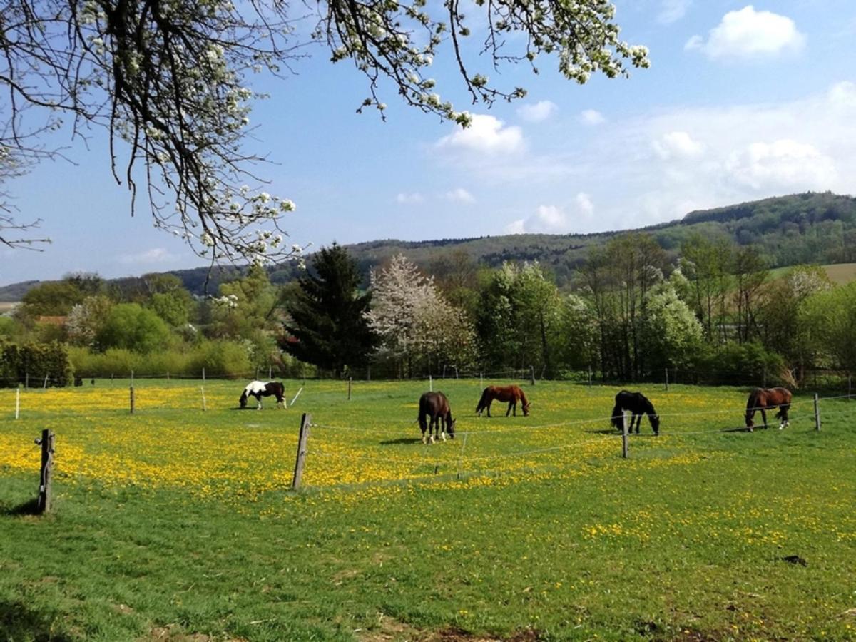 A-Sissy-Hof Villa Bischofstetten ภายนอก รูปภาพ